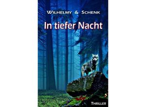 9783746706757 - In tiefer Nacht - Birgit Wilhelmy Gabriele Schenk Kartoniert (TB)