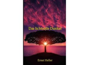 9783746759845 - Das lichtvolle Dunkel - Ernst Alfred Shogun Heller Amita Schlemmer Kartoniert (TB)