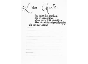 9783746786834 - Lieber Charlie - Beate Fuhrmann Kartoniert (TB)