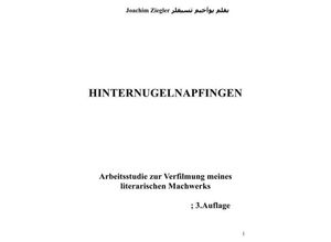 9783746793917 - Hinternugelnapfingen Arbeitsstudie zur Verfilmung meines literarischen Machwerks  2Auflage - Joachim Ziegler Kartoniert (TB)
