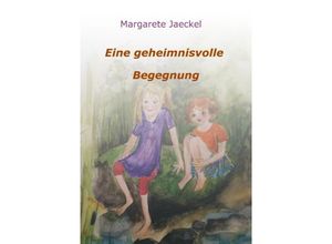 9783748221845 - Eine geheimnisvolle Begegnung - Margarete Jaeckel Kartoniert (TB)