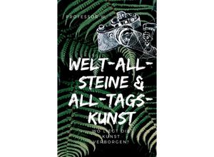 9783748252238 - WELT-ALL-STEINE & ALL-TAGS-KUNST - Professor W Kartoniert (TB)