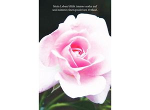 9783748505723 - Schreibwandel Notizbuch osa Rose (mit Reim-Affirmation) - Melina Lisann Kartoniert (TB)