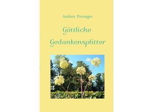 9783748508823 - Göttliche Gedankensplitter - Andrea Pirringer Kartoniert (TB)