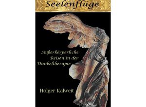 9783748511175 - Seelenflüge - Holger Kalweit Kartoniert (TB) 9783748511175 - Seelenflüge - Holger Kalweit Kartoniert (TB)
