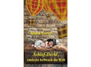 9783748524816 - Schlaf-David entdeckt hellwach die Welt - Bianca Wörter Kartoniert (TB)