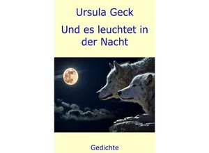 9783748536253 - Und es leuchtet in der Nacht - Ursula Geck Kartoniert (TB)