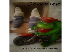 9783748536499 - Sommer - Birgit Kretzschmar Kartoniert (TB)