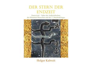 9783748584537 - Der Stern der Endzeit - Holger Kalweit Kartoniert (TB)