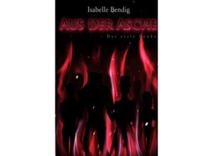 9783750240292 - Aus der Asche - Isabelle Bendig Kartoniert (TB)