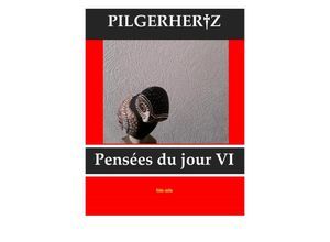 9783750259942 - Pensées du jour VI - XY Pilgerhertz Kartoniert (TB)