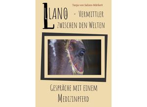 9783750265615 - Llano - Vermittler zwischen den Welten - Tanja von Salzen-Märkert Kartoniert (TB)