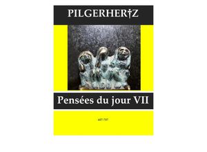 9783750272552 - Pensées du jour VII - XY Pilgerhertz Kartoniert (TB)