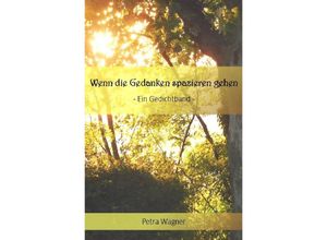 9783750278059 - Wenn die Gedanken spazieren gehen - Petra Wagner Kartoniert (TB)