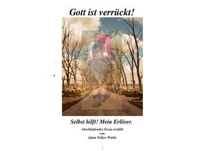 9783750280120 - Gott ist verrückt - Volker Wirths Kartoniert (TB)