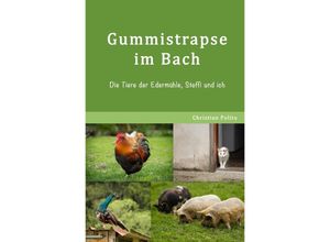 9783752941807 - Gummistrapse im Bach - Christian Polito Kartoniert (TB)