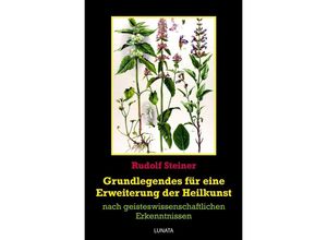 9783752943030 - Grundlegendes zur Erweiterung der Heilkunst - Rudolf Steiner Kartoniert (TB)