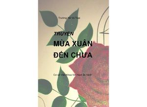 9783752947908 - MÙA XUÂN N CH A - Toai Vu Duy Kartoniert (TB)