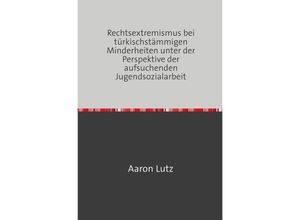 9783753114378 - Rechtsextremismus bei türkischstämmigen Minderheiten unter der Perspektive der aufsuchenden Jugendsozialarbeit - Aaron Lutz Kartoniert (TB)