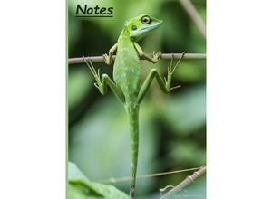 9783753159881 - Notizbuch A5 dotted [Lizard - Eidechse] Softcover von Daily Paper Design 80 Seiten als Tagebuch Bullet Journal Notizheft FSC-zertifiziert & aus nachhaltiger und umweltschonender Forstwirtschaft - Daily Paper Design Kartoniert (TB)