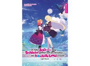 9783753917634 - Ich habe 300 Jahre lang Schleim getötet und aus Versehen das höchste Level erreicht Light Novel 12 - Kisetsu Morita Benio Kartoniert (TB)