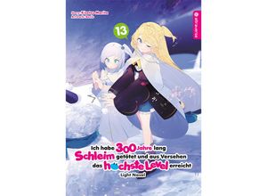 9783753920047 - Ich habe 300 Jahre lang Schleim getötet und aus Versehen das höchste Level erreicht Light Novel 13 - Kisetsu Morita Benio Kartoniert (TB)