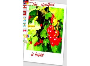 9783754139417 - The steadfast is happy German English Swiss Austria Shqiptare - Powerful Glory Augsfeld Haßfurt Knetzgau Rudi Friedrich Kartoniert (TB)