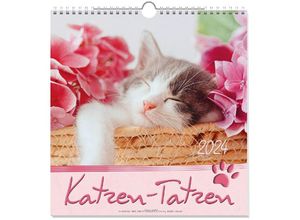 9783754829844 - Kleine Katzen-Tatzen 2024