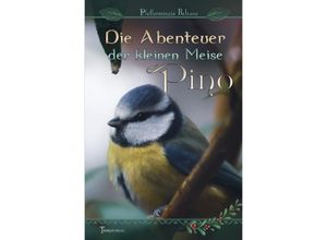 9783754917268 - Die Abenteuer der kleinen Meise Pino - Pfefferminzia Beltane Kartoniert (TB)