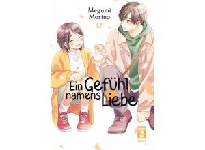 9783755501206 - Ein Gefühl namens Liebe 12 - Megumi Morino Kartoniert (TB)