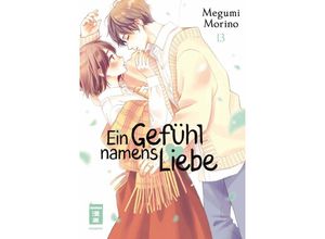 9783755502357 - Ein Gefühl namens Liebe 13 - Megumi Morino Kartoniert (TB)