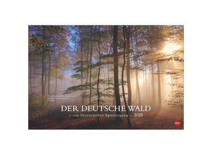 9783756404803 - Der deutsche Wald - Ein literarischer Spaziergang Kalender 2025 - Ein literarischer Spaziergang