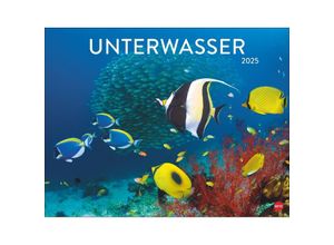 9783756405121 - Unterwasser Posterkalender 2025