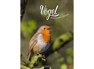 9783756405336 - Vögel in unseren Gärten Posterkalender 2025