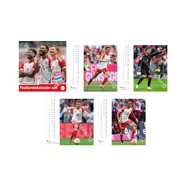 9783756405466 - Bildkalender 21043 FC Bayern  1 Monat   1 Seite 16x17cm 2025 9783756405466 Heye