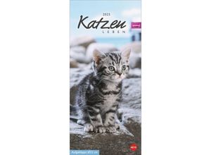 9783756406142 - Whiskas Katzenleben Kalender 2025