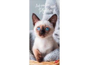 9783756406159 - Katzen slim - Auf sanften Pfoten Kalender 2025