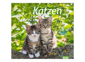 9783756406852 - Katzen Bildkalender 2025