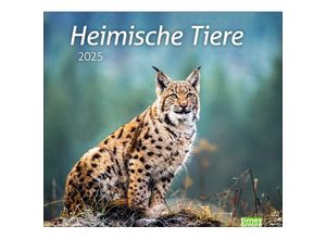 9783756406913 - Heimische Tiere Bildkalender 2025