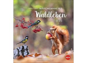 9783756407019 - Vadim Trunov Märchenhaftes Waldleben Postkartenkalender 2025