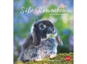 9783756407057 - Süße Kaninchen Postkartenkalender 2025