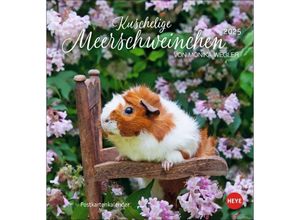 9783756407101 - Kuschelige Meerschweinchen Postkartenkalender 2025