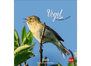 9783756407125 - Vögel in unseren Gärten Postkartenkalender 2025