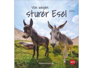 9783756407149 - Esel Postkartenkalender 2025 - Von wegen sturer Esel