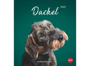 9783756407156 - Dackel Postkartenkalender 2025