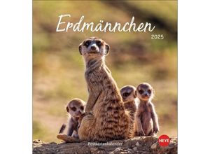 9783756407163 - Erdmännchen Postkartenkalender 2025