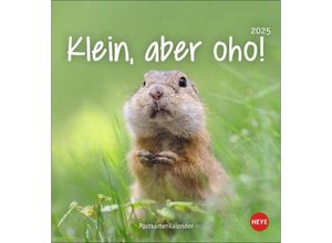 9783756407170 - Klein aber oho! Postkartenkalender 2025