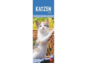 9783756407224 - Katzen Lesezeichen & Kalender 2025