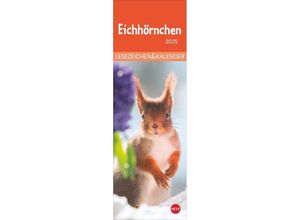 9783756407293 - Eichhörnchen Lesezeichen & Kalender 2025