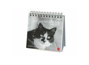 9783756408160 - Monika Wegler Katzen Weisheiten Premium-Postkartenkalender 2025